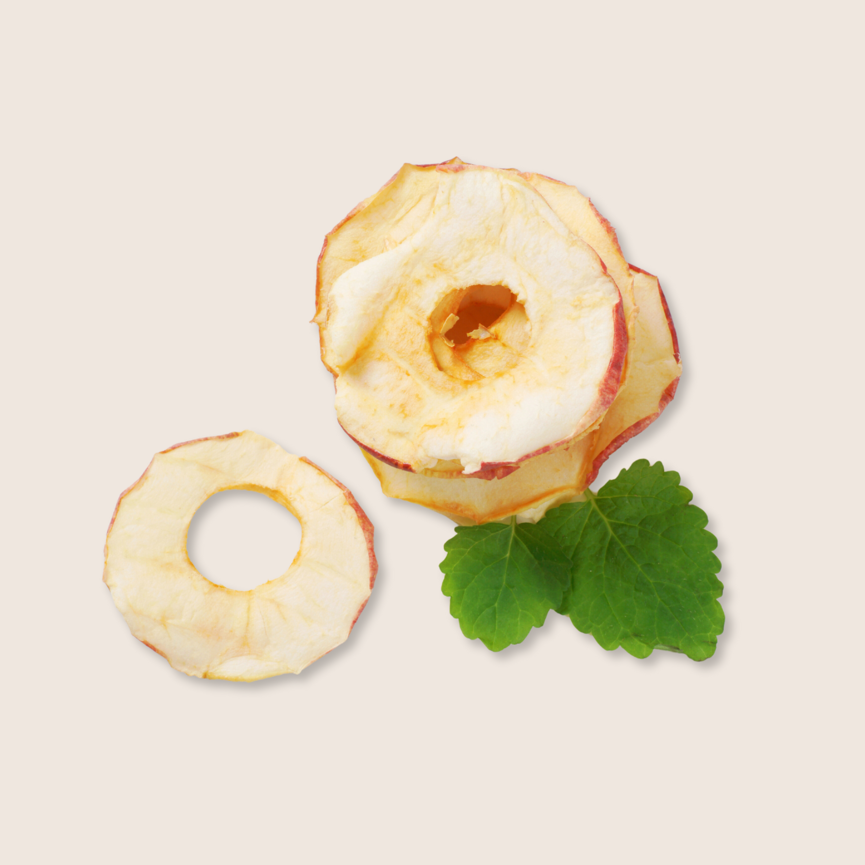 pommes séchées bio