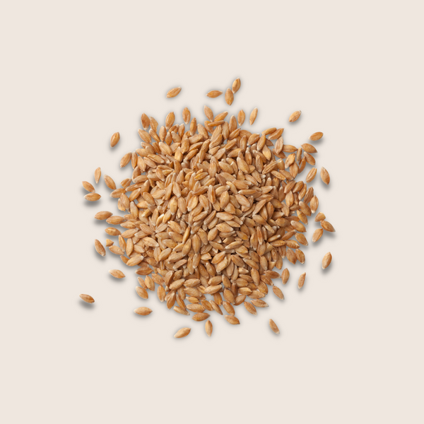 Les Graines de lin Bio