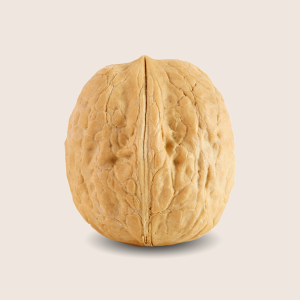 Les noix Bio