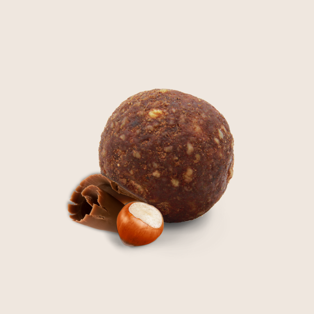 SACHET DE 20 ENERGY-BALLS BIO - ANTI-GASPI |CACAO - NOISETTE