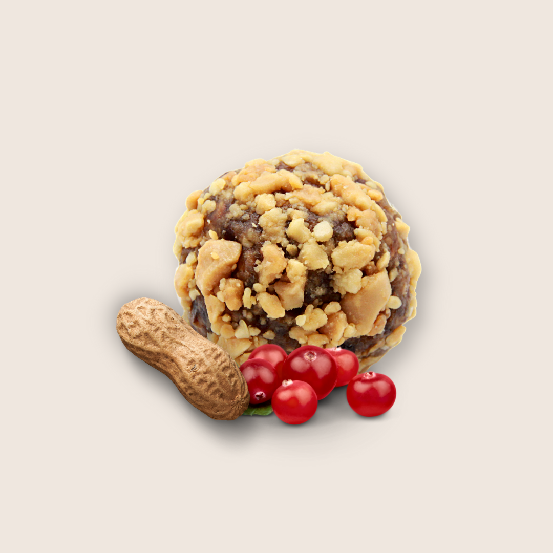 SACHET DE 20 ENERGY-BALLS BIO - ANTI-GASPI | CACAHUÈTE - CRANBERRY