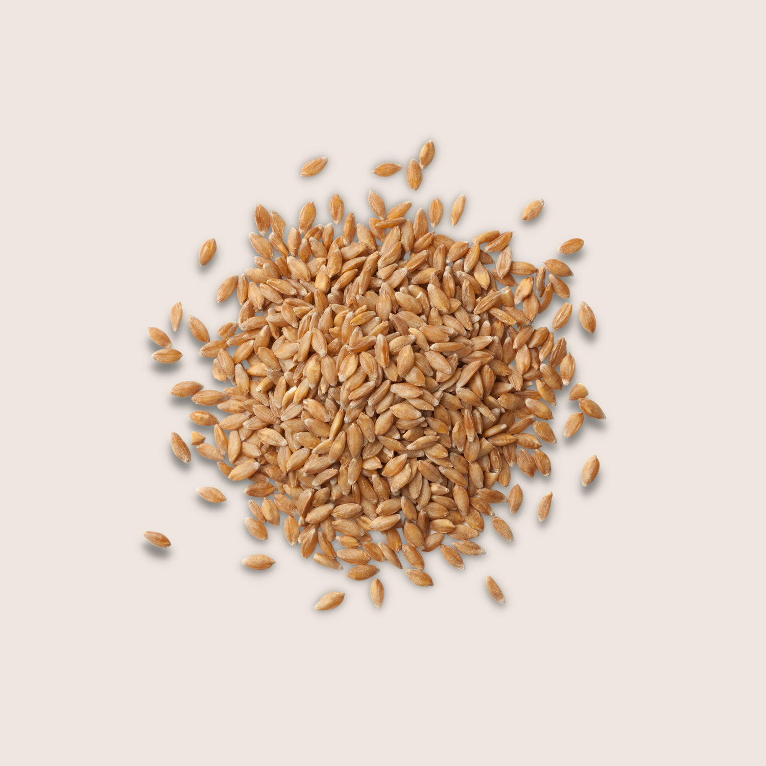 Les graines de lin Bio, superaliments
