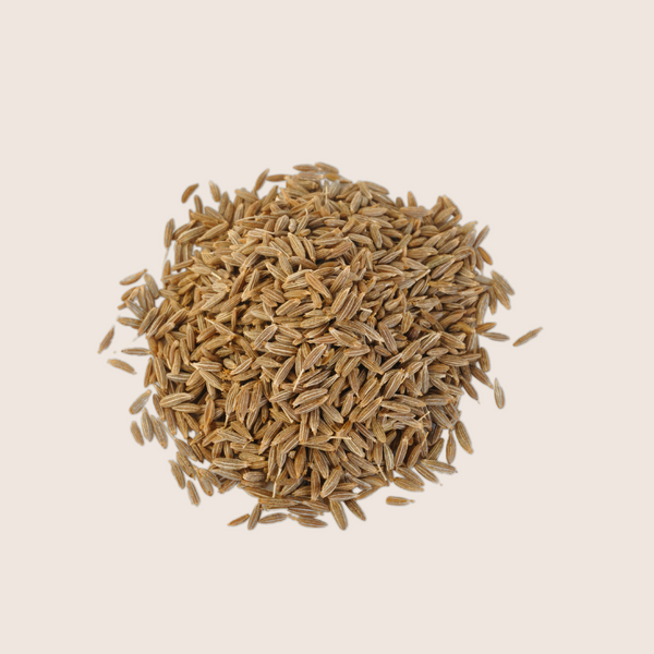 Le cumin Bio
